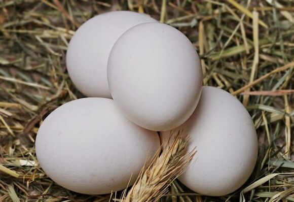 卵ダイエットとは、鶏の卵を毎日食べることです。